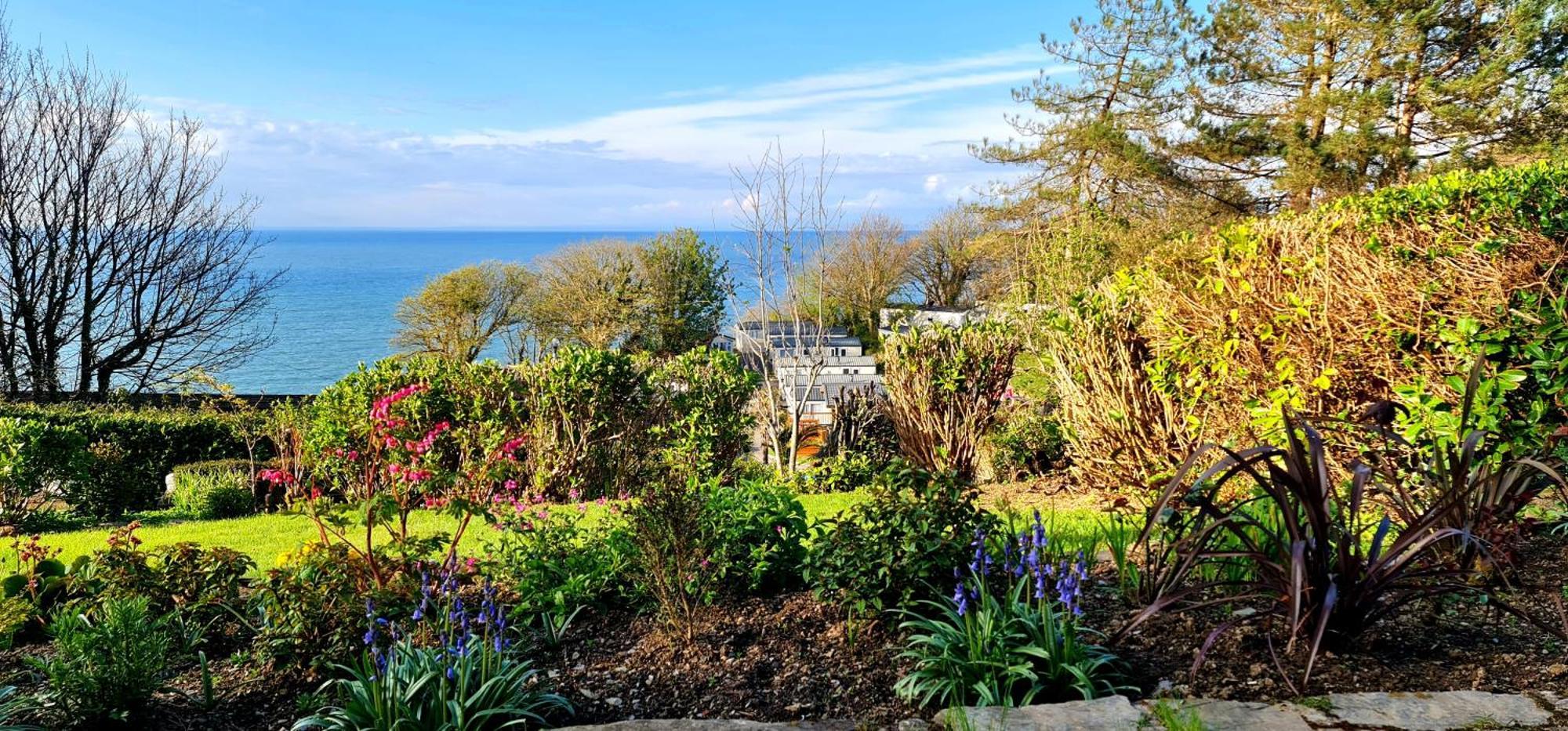 Newberry Wood Guesthouse Ilfracombe Eksteriør bilde